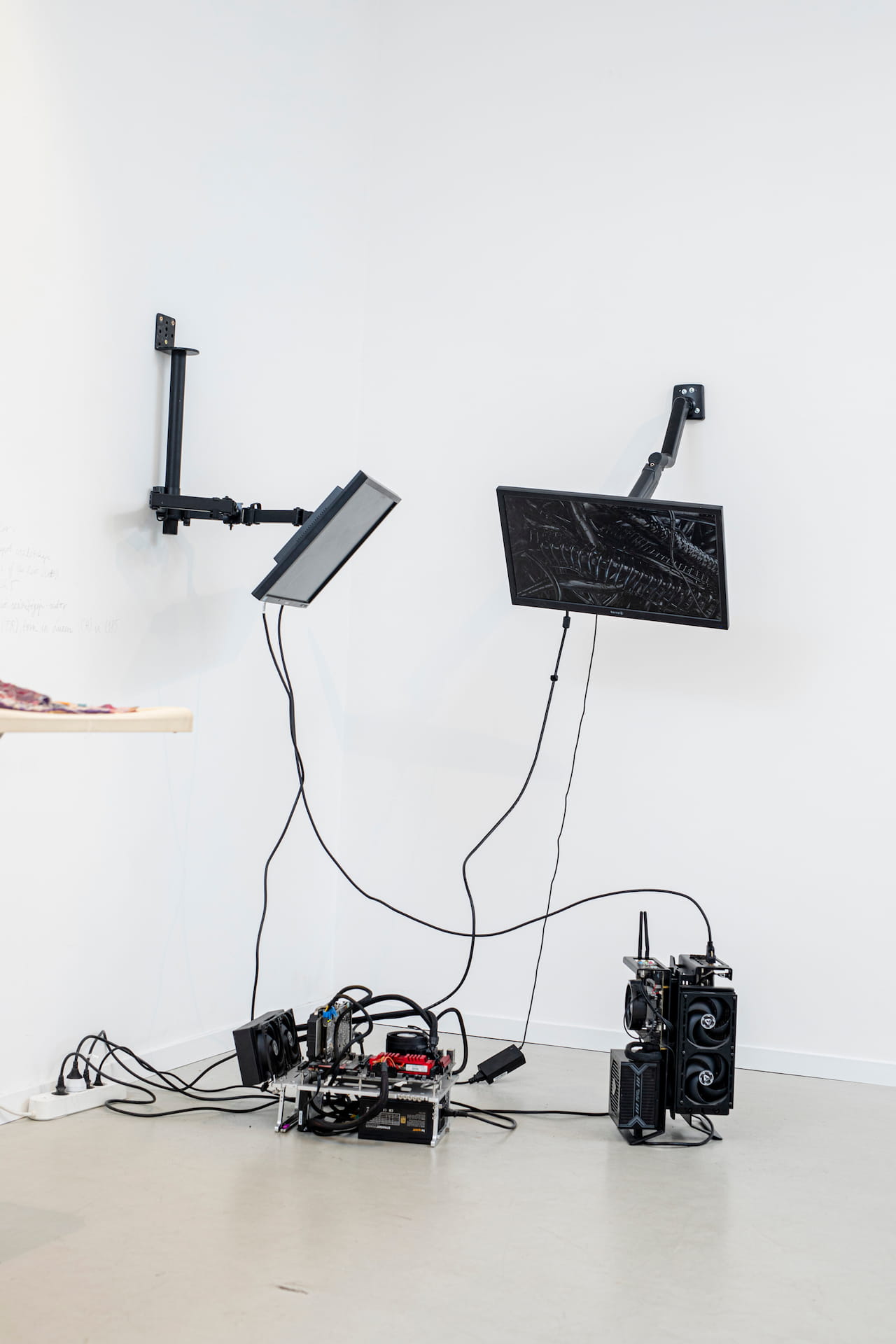 Features of the Living - Photo by Barnabás Neogrády-Kiss